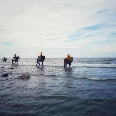 Nieuwpoort With Stunning Sea View Oostduinkerke