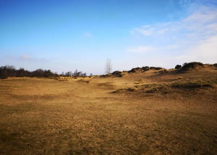 Nieuwpoort With Stunning Sea View