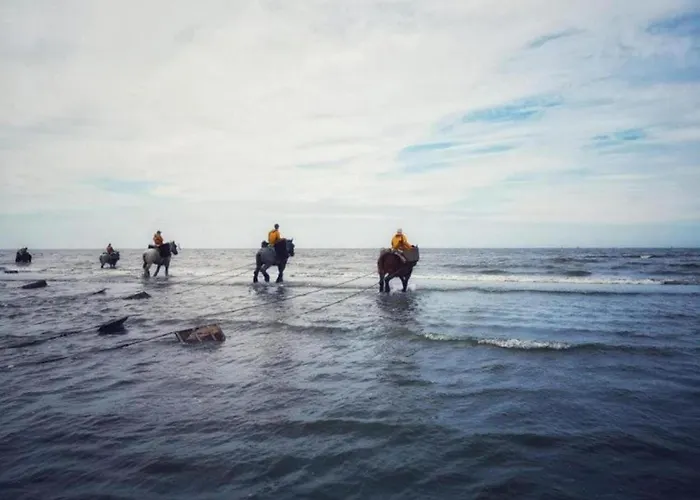 Nieuwpoort With Stunning Sea View Oostduinkerke