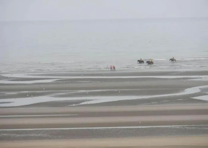 Nieuwpoort With Stunning Sea View Διαμέρισμα Oostduinkerke